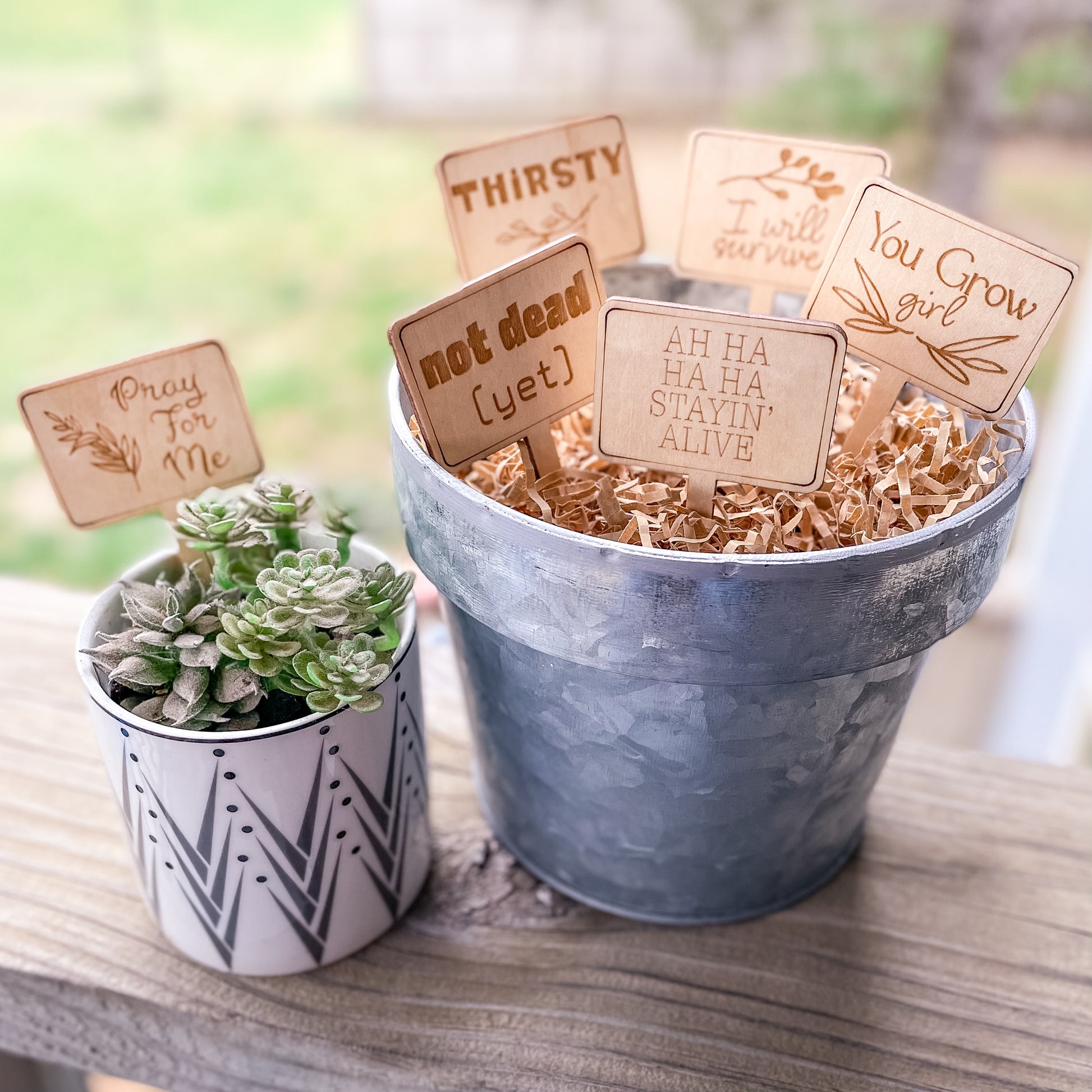 house plant stakes Plant Stakes (Set of 6) – TaylorMaker